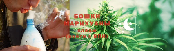 ECSTASY Бикин
