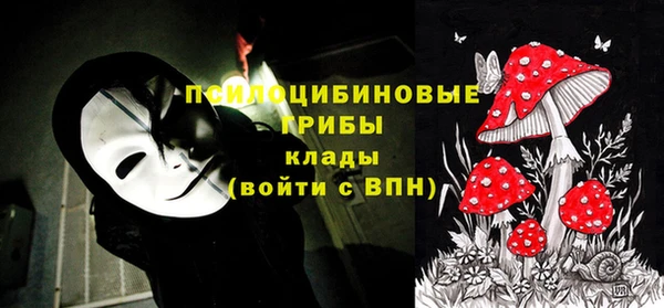 соль ск Лабытнанги
