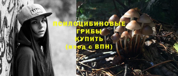 кокс Билибино