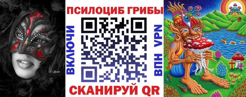 ссылка на мегу ONION  Моршанск  Псилоцибиновые грибы Cubensis  наркошоп 